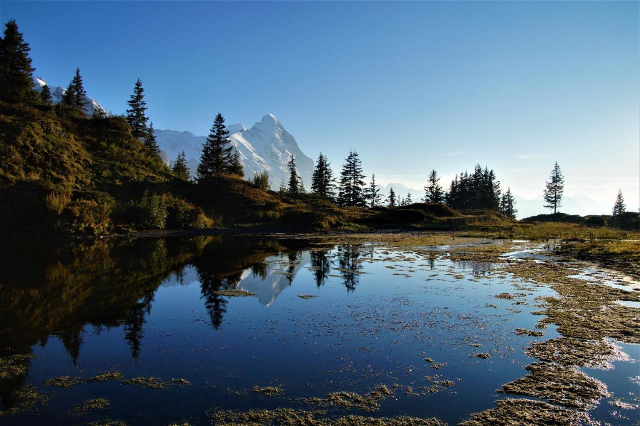 דירות Lütschenthal Chalet Wetterhorn מראה חיצוני תמונה