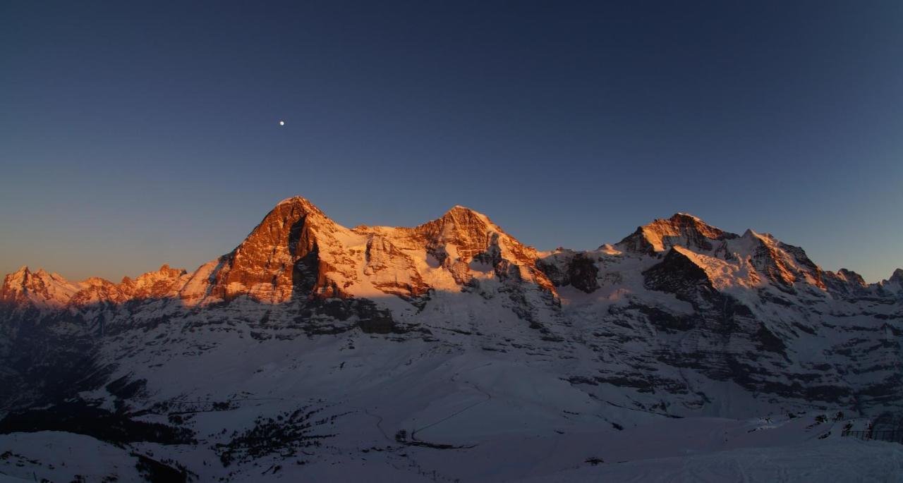 דירות Lütschenthal Chalet Wetterhorn מראה חיצוני תמונה