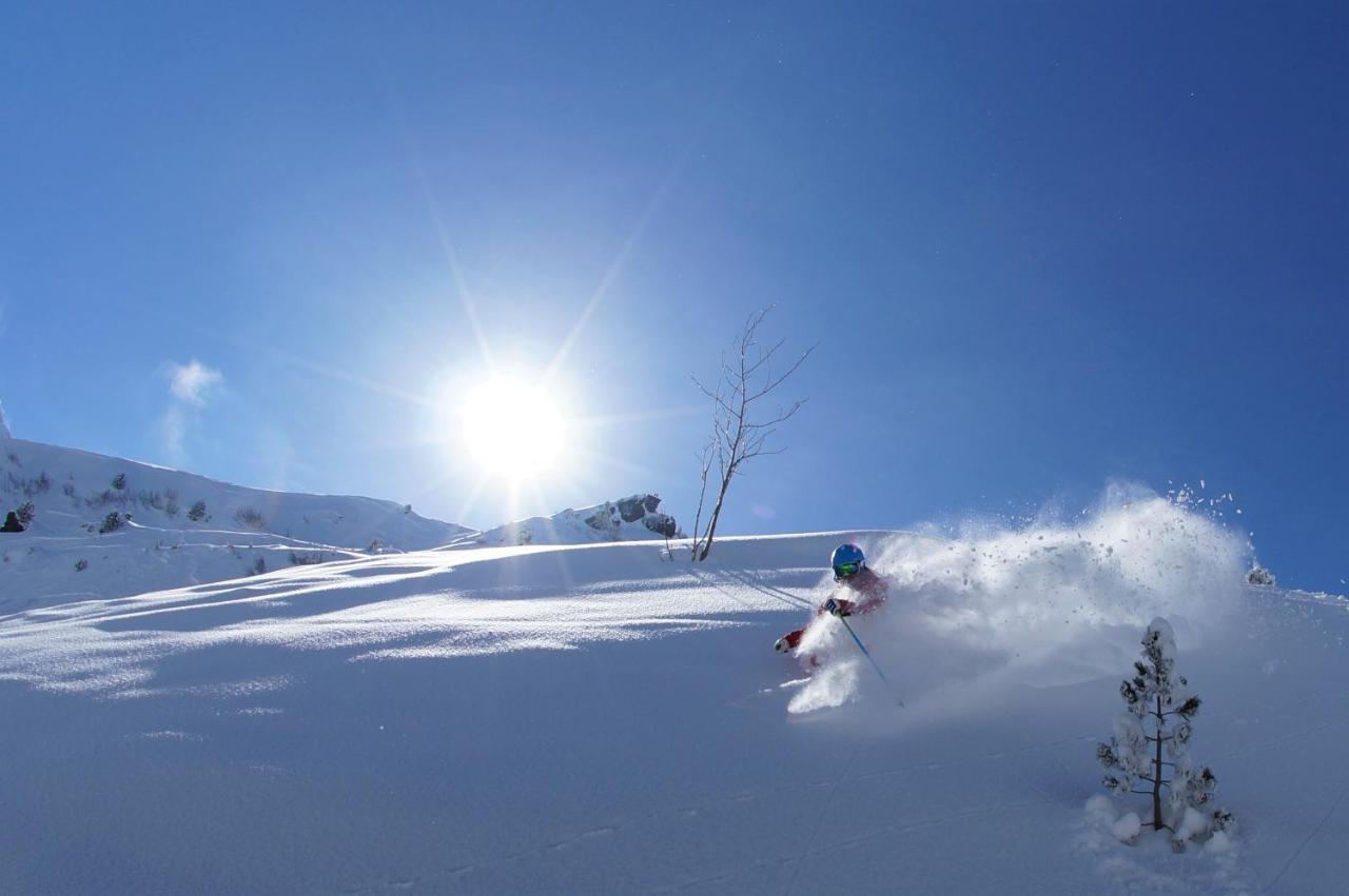 דירות Lütschenthal Chalet Wetterhorn מראה חיצוני תמונה